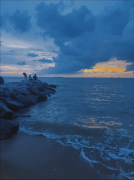 Coastal Delights: Savoring the 